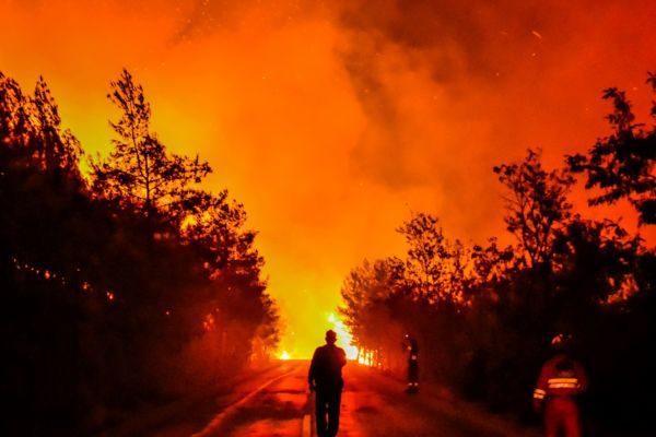 Δασικές πυρκαγιές: Ο απολογισμός του καλοκαιριού και η δράση της ΕΟΔ